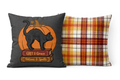 Spooky "Potions & Spells" Pillow