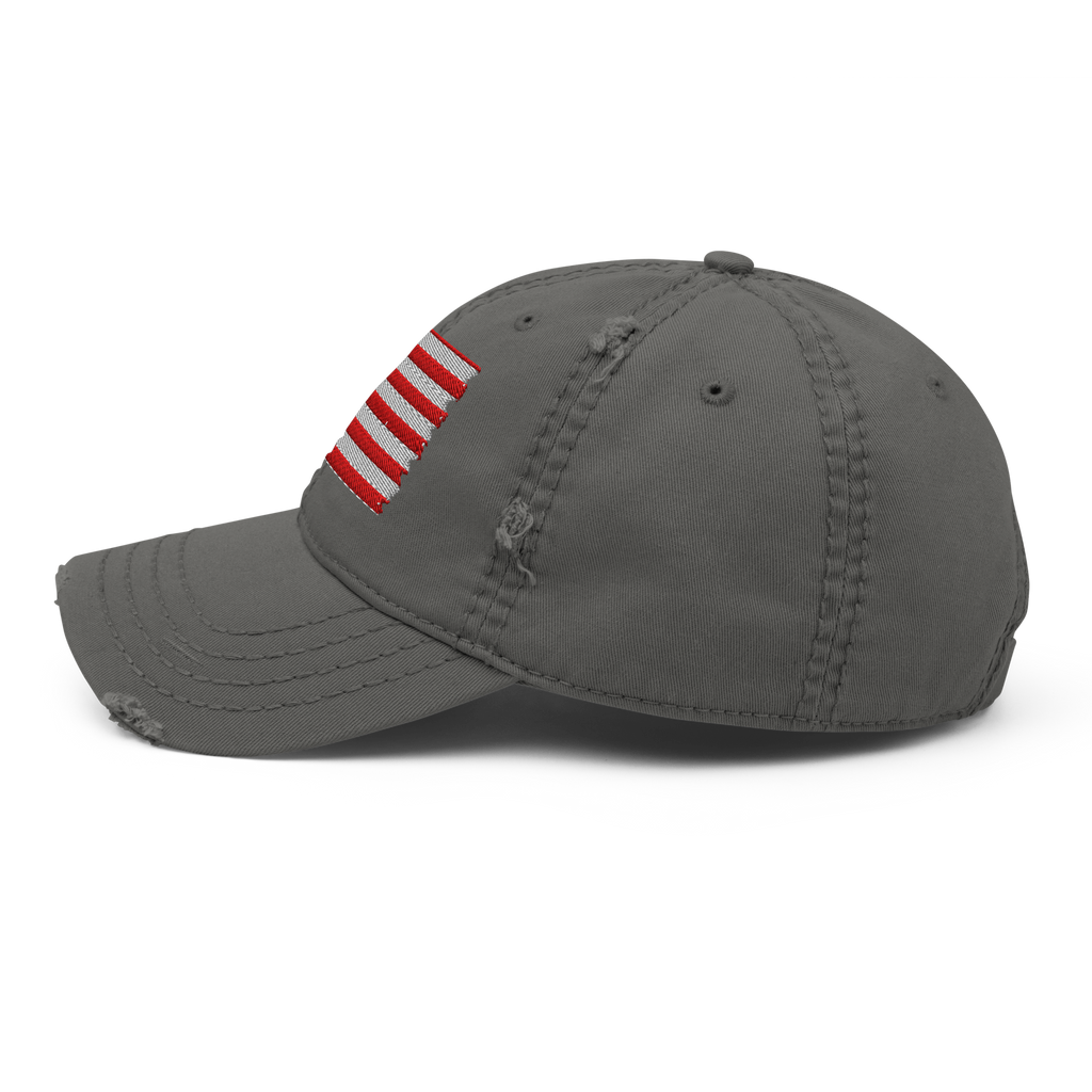 The Freedom Flag Vintage Cap