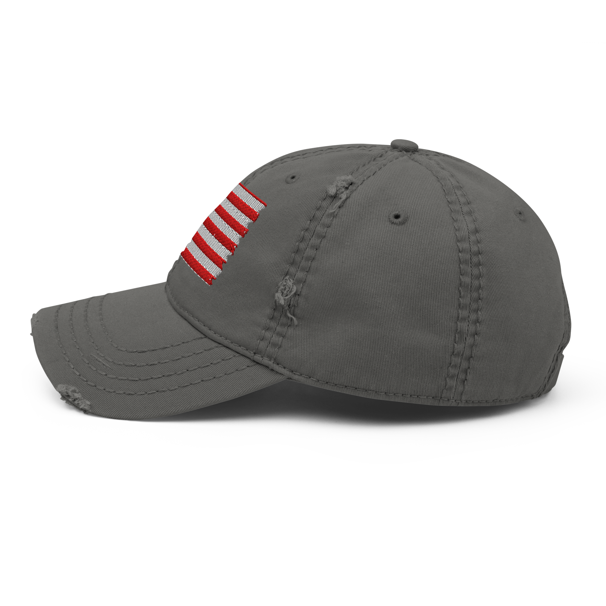 The Freedom Flag Vintage Cap