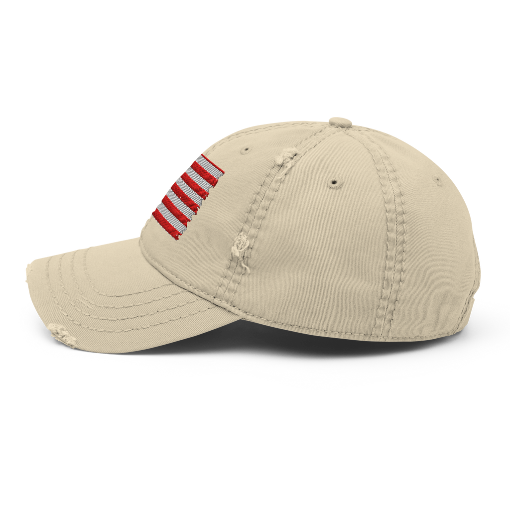 The Freedom Flag Vintage Cap