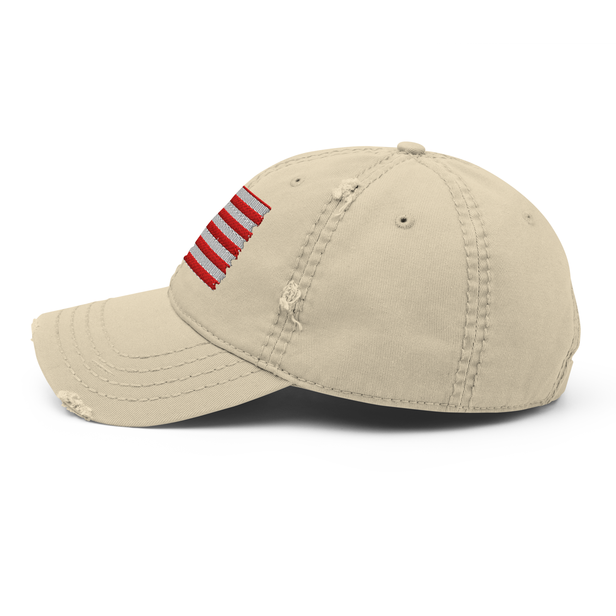 The Freedom Flag Vintage Cap